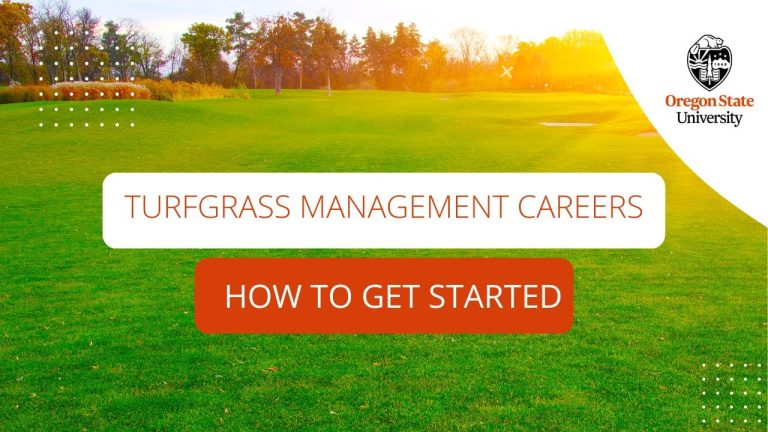 The Art of Turf Management: Perfecting Golf Course Greens